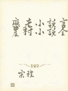 恋老小说言情网农村小说全文阅读