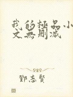 我的极品小姨全文无删减