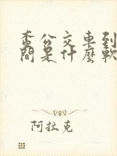 查公交车到站时间是什么软件