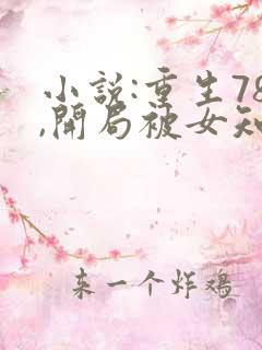 小说:重生78,开局被女知青退婚