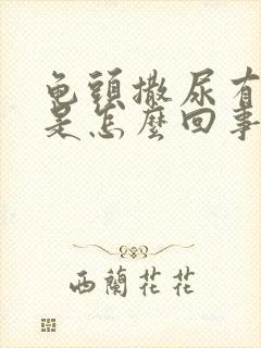 龟头撒尿有点疼是怎么回事