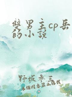 双男主cp岳飞的小说