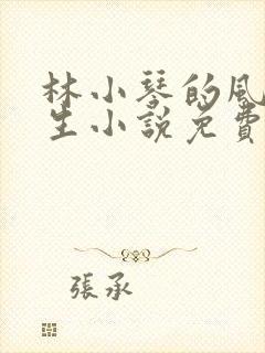 林小琴的风流人生小说免费阅读全文