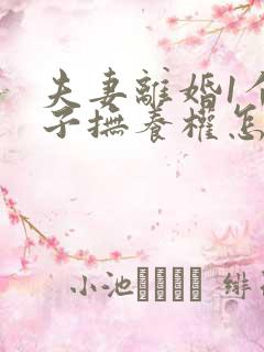夫妻离婚1个孩子抚养权怎么判定