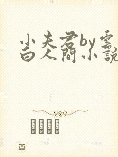 小夫君by云上白人间小说在线阅读免费