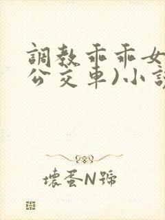 调教乖乖女h(公交车)小说在线阅读