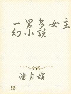 一男多女主的玄幻小说