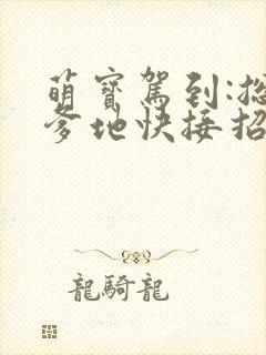 萌宝驾到:总裁爹地快接招