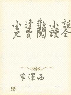 小清欢小说全文免费阅读全文