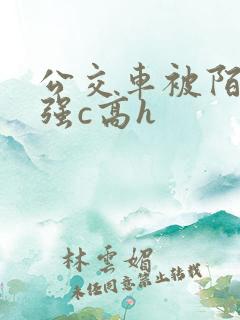 公交车被陌生人强c高h