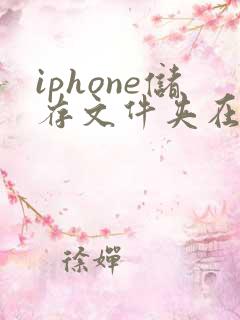 iphone储存文件夹在哪里