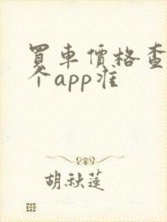 买车价格查询哪个app准