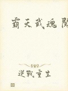 霸天武魂 阅读