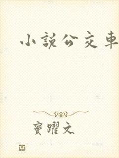 小说公交车诗晴