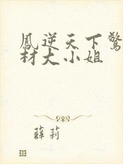 凤逆天下惊世废材大小姐