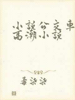 小说公交车被上高潮小说