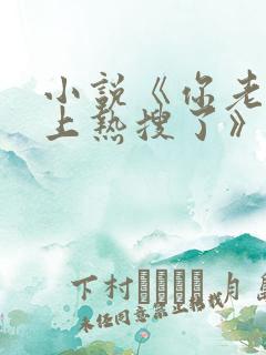 小说《你老婆又上热搜了》