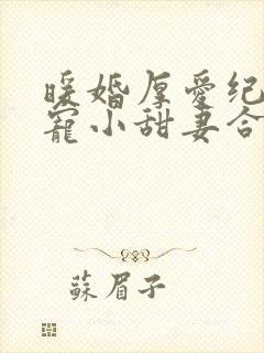 暖婚厚爱纪总独宠小甜妻合集
