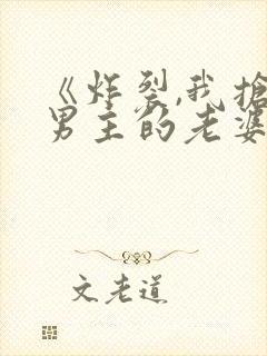 《炸裂,我抢了男主的老婆和女儿》