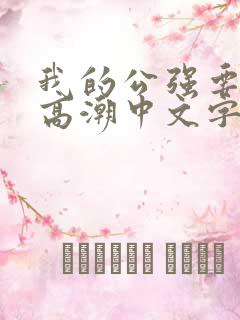 我的公强要了我高潮中文字幕