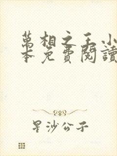 万相之王小说完本免费阅读