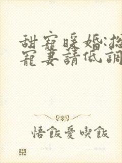 甜宠暖婚:总裁宠妻请低调