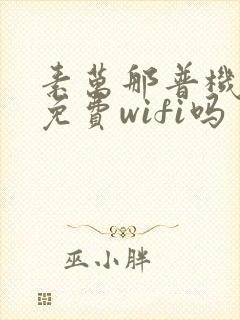 素万那普机场有免费wifi吗