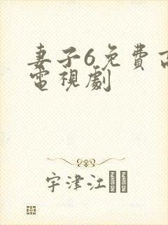 妻子6免费高清电视剧