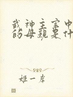 武神主宰中秦尘的母亲是什么修为