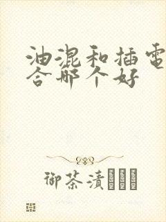 油混和插电式混合哪个好