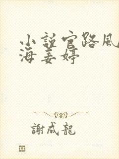 小说官路风云林海姜婷