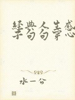 经典人生感悟句子句句穿心