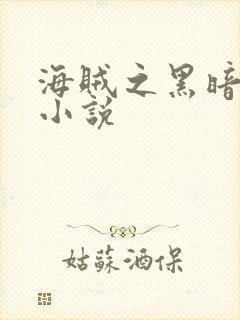 海贼之黑暗大将小说