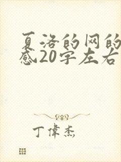 夏洛的网的读后感20字左右