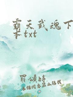 霸天武魂下载全本txt