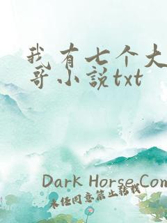 我有七个大佬哥哥小说txt