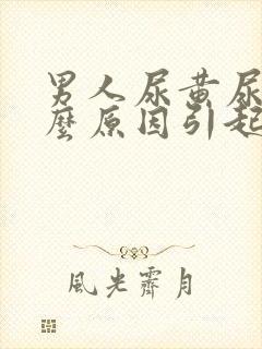 男人尿黄尿是什么原因引起的
