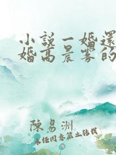 小说一婚还比一婚高晨雾的光
