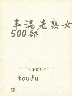 丰满老熟女乱淫500部