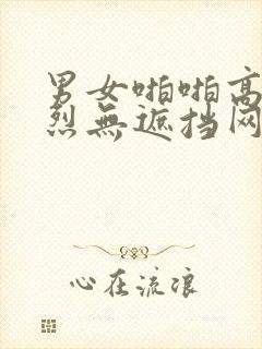 男女啪啪高潮激烈无遮挡网站