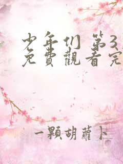 少年们 第3季免费观看完整版