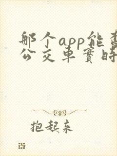 那个app能查公交车实时到站