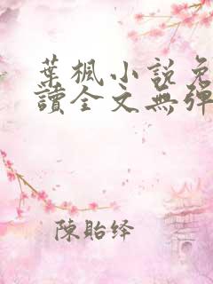 叶枫小说免费阅读全文无弹窗最新