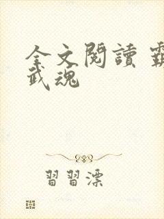 全文阅读 霸天武魂