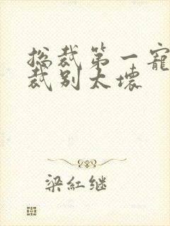 总裁第一宠婚总裁别太坏