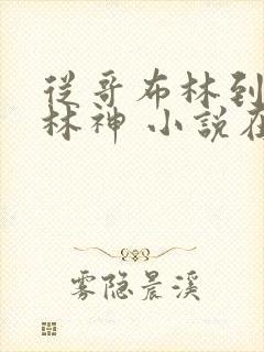 从哥布林到哥布林神 小说在线阅读