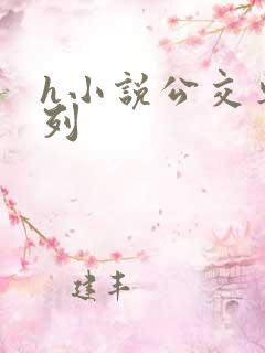 h小说公交车系列