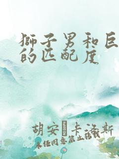 狮子男和巨蟹女的匹配度