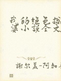我的绝色总裁老婆小说全文免费阅读