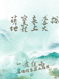 萌宝来袭总裁爹地宠上天